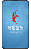 手机密保